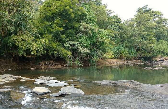 Bảo tồn và sử dụng bền vững các vùng đất ngập nước trên địa bàn tỉnh Kon Tum giai đoạn 2021 - 2030