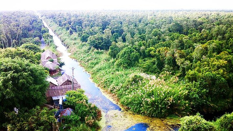 Nhớ rừng U Minh Hạ ở Cà Mau