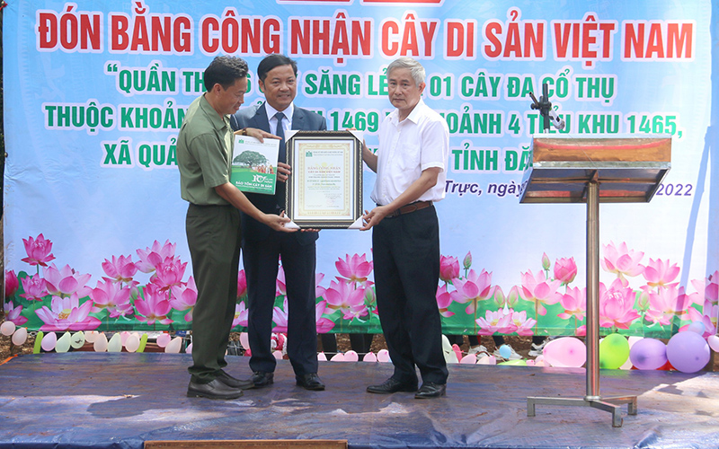 Công nhận quần thể Cây di sản Việt Nam tại Đắk Nông