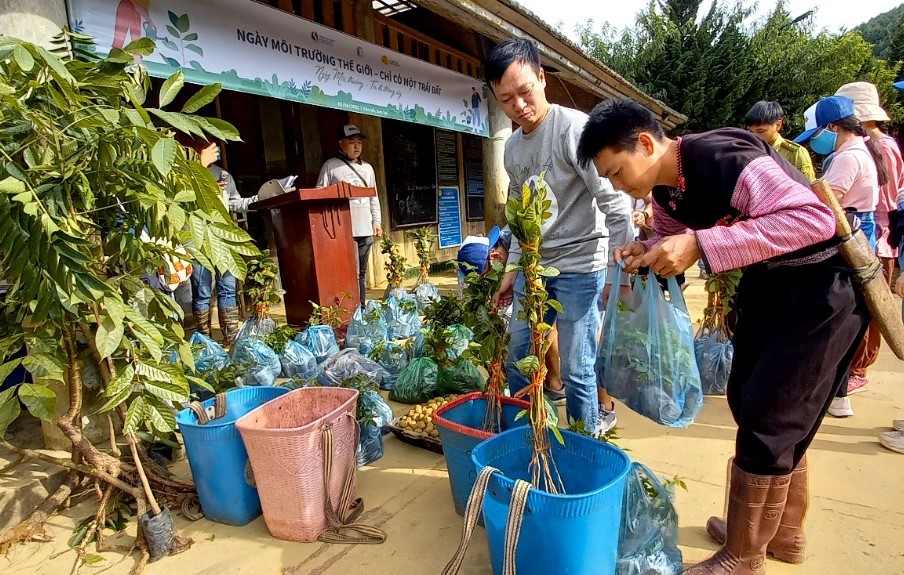 Trồng gần 6.000 cây làm thức ăn cho vượn đen má trắng ở Vân Hồ, Sơn La