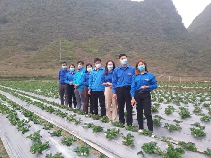Làm nông nghiệp gắn với du lịch - Mô hình kinh doanh mới ở Trùng Khánh (Cao Bằng)