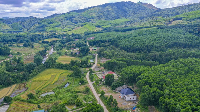 Quảng Ninh: Những cánh rừng xanh tạo sinh kế ổn định