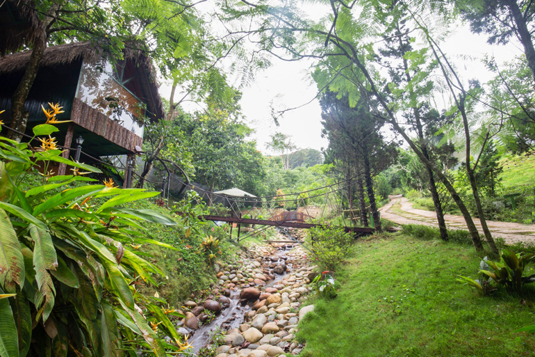Lâm Đồng: Khám phá du lịch canh nông kết hợp nghỉ dưỡng tại Đạ Lạch Noah
