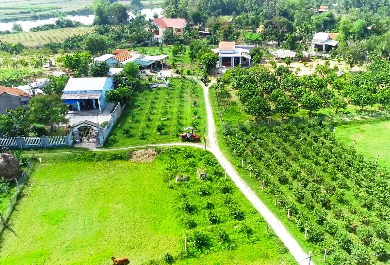 Tam Ngọc (Quảng Nam) phát triển kinh tế vườn gắn với du lịch