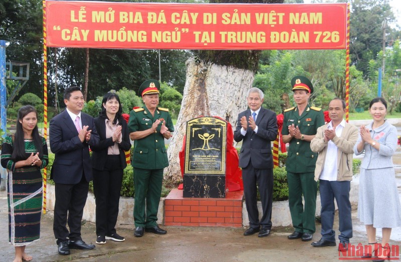 Công nhận quần thể 20 cây di sản Việt Nam tại Đắk Nông