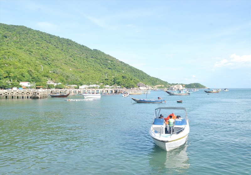 Quảng Nam: Hiệu quả từ mô hình đồng quản lý bảo tồn biển tại Cù Lao Chàm