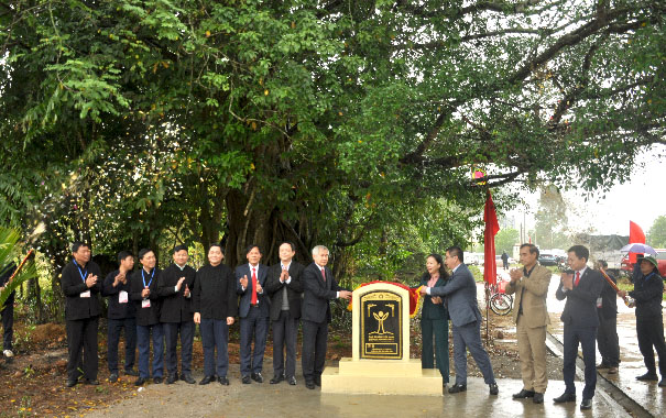Quảng Ninh: 2 cây cổ thụ trên 300 năm được công nhận Cây Di sản Việt Nam