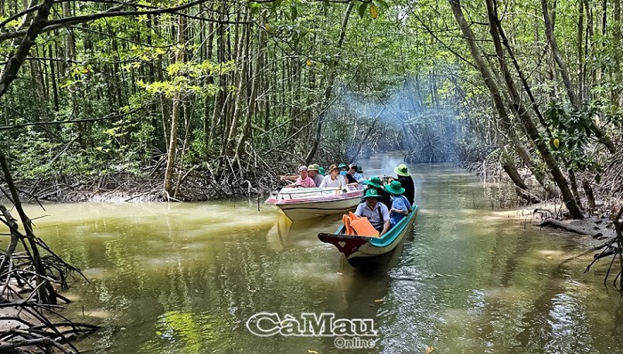 Trải nghiệm hấp dẫn từ du lịch xuyên rừng - Cà Mau