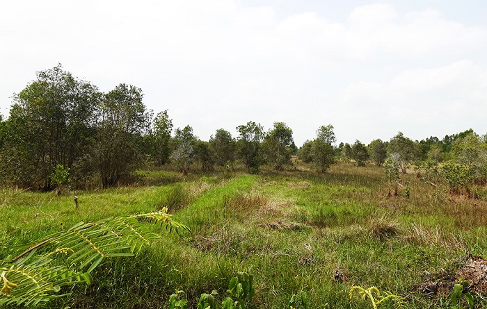 Bảo tồn đa dạng sinh học Khu bảo vệ cảnh quan rừng tràm Tân Tuyến - An Giang