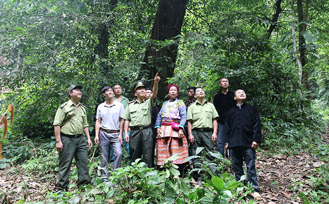Yên Bái: Văn Yên vì mục tiêu bảo tồn thiên nhiên, đa dạng sinh học