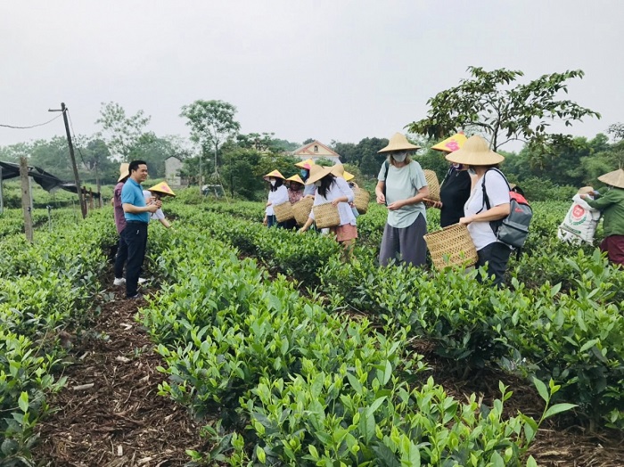 Thái Nguyên: Phát triển du lịch cộng đồng gắn với sản phẩm nông nghiệp