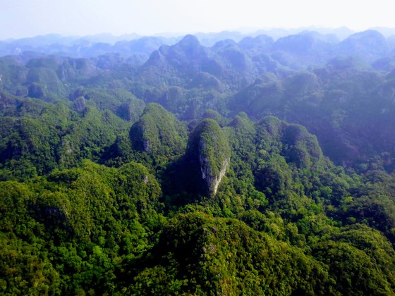 Khám phá “ngôi nhà” 450 triệu năm tuổi ở Quảng Bình