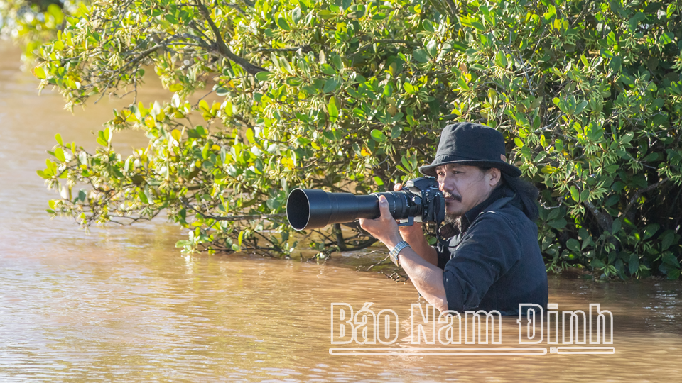 Vườn quốc gia Xuân Thủy (Nam Định) qua ống kính các nghệ sĩ nhiếp ảnh
