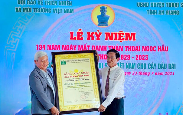 Dầu rái cổ thụ trên 200 năm ở An Giang được công nhận Cây Di sản Việt Nam