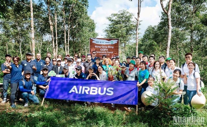 Triển khai dự án Rừng cộng đồng tại Việt Nam