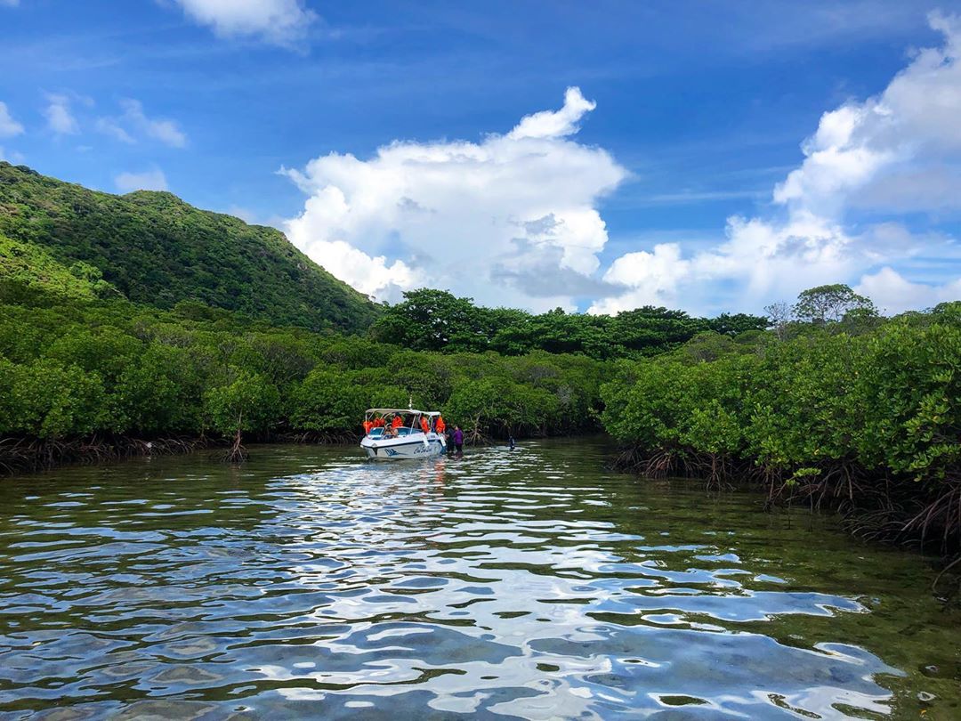 Bà Rịa - Vũng Tàu: Bảo tồn giá trị đa dạng sinh học tại các vùng đất ngập nước