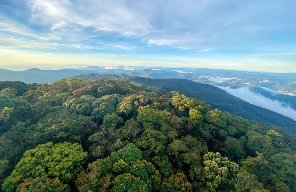 Khám phá hệ sinh thái Vườn Quốc gia Bidoup - Núi Bà tỉnh Lâm Đồng