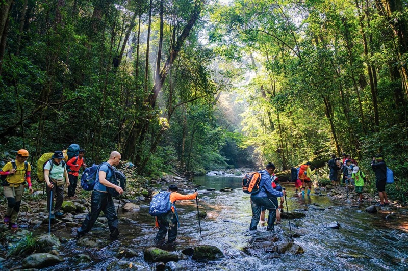 Khám phá hệ sinh thái Vườn Quốc gia Bidoup - Núi Bà (Lâm Đồng)