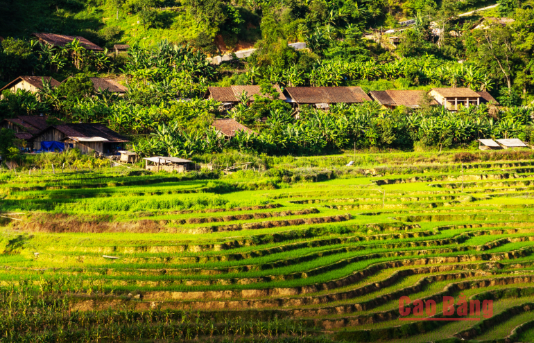 Làng du lịch cộng đồng Hoài Khao, xã Quang Thành (Nguyên Bình) gắn với các nghề thủ công truyền thống.