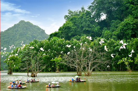 Khu du lịch sinh thái vườn chim Thung Nham làm tốt công tác bảo vệ môi trường