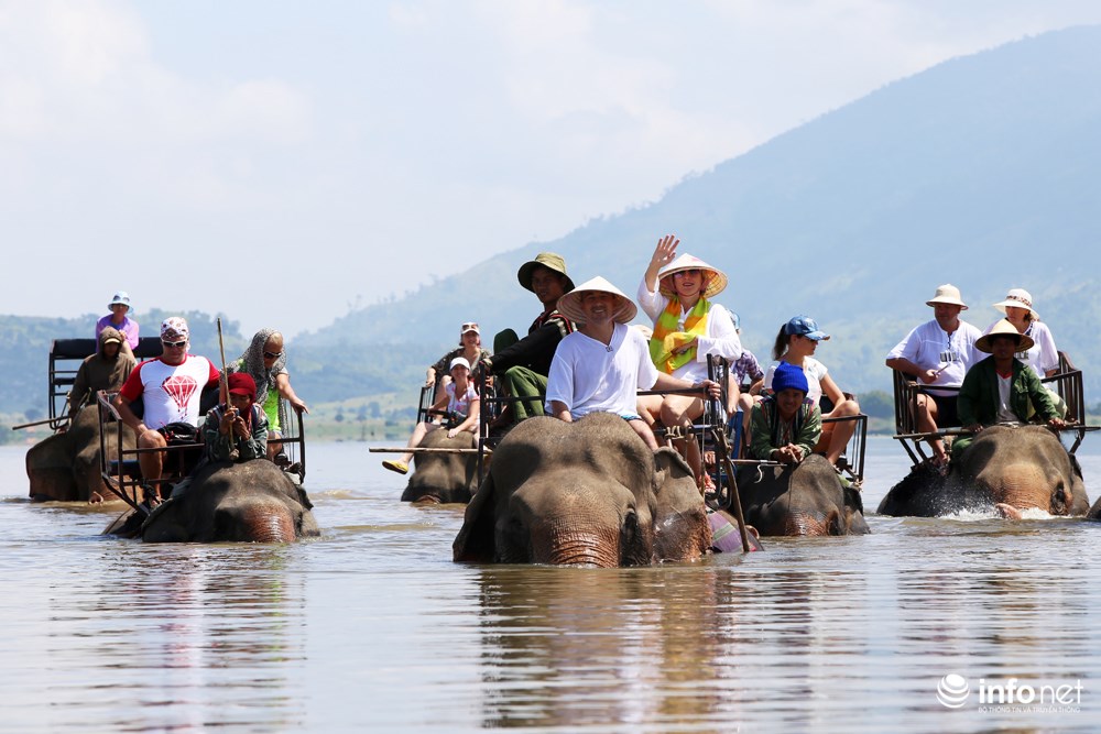 Trải nghiệm cưỡi voi khám phá hồ Lắk