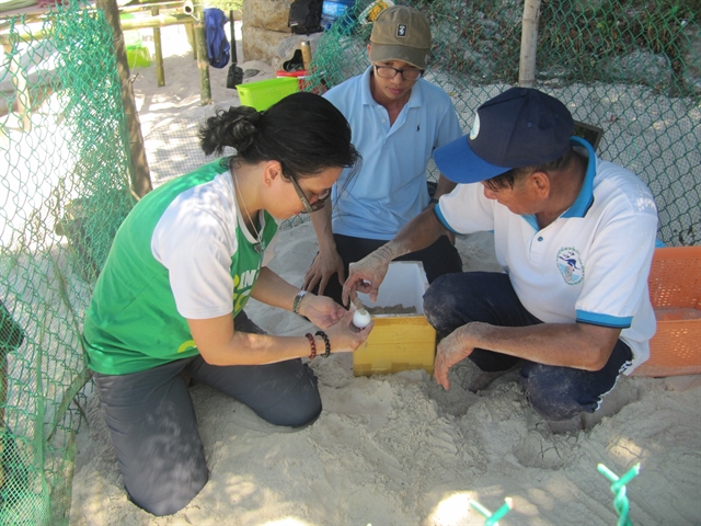 Action plans for marine turtle conservation - Viet Nam Tourism Environment